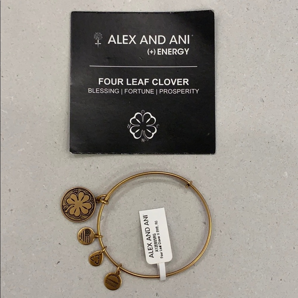 Alex and Ani bangle bracelet